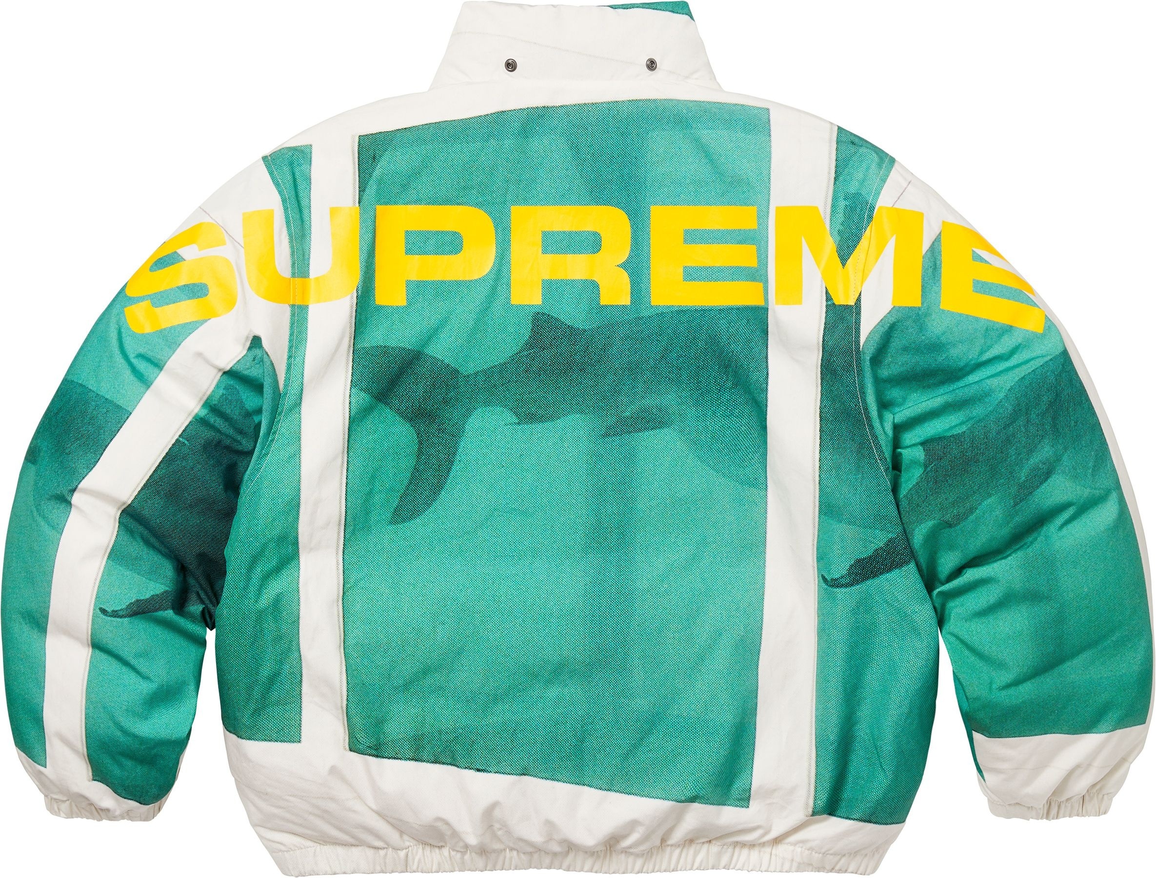 Supreme/Damien Hirst Down Puffer Jacket view 15